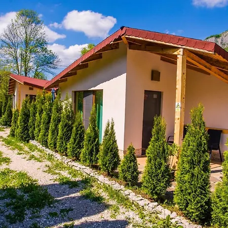 Casa De Vacanta * Vălişoara