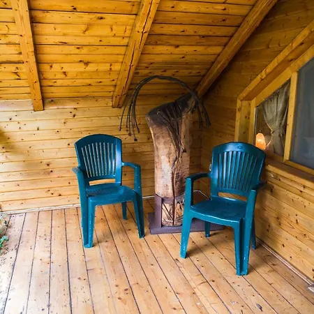Casa De Vacanta Vălişoara